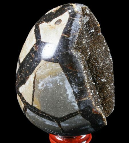 Septarian Dragon Egg Geode - Black Crystals #83215